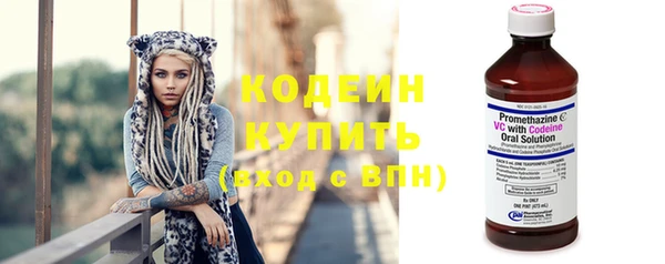 ешки Няндома