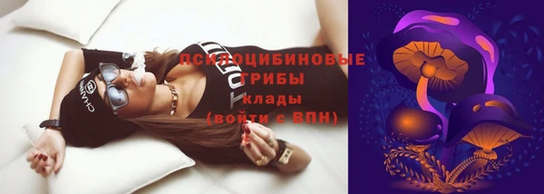 ешки Няндома