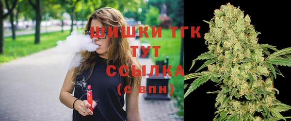 ешки Няндома