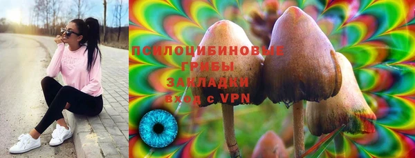 ешки Няндома