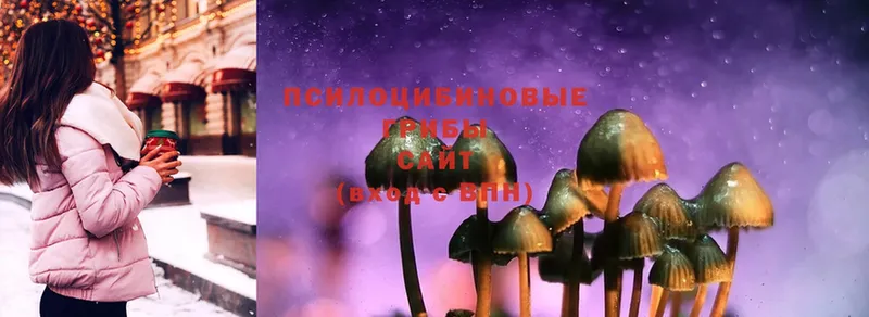 Псилоцибиновые грибы Cubensis  MEGA сайт  Остров  наркотики 