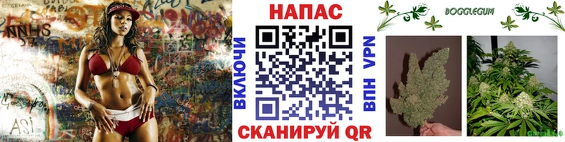 цена   Остров  Бошки Шишки сатива 